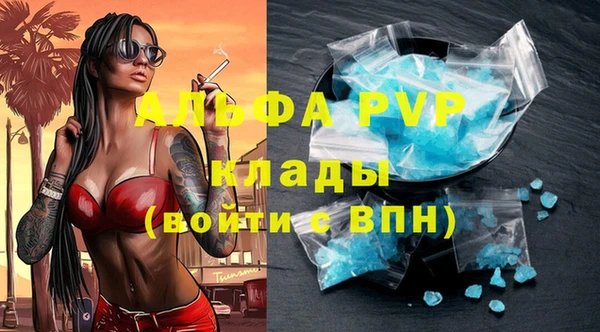 mdpv Вяземский