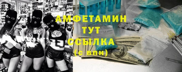 mdpv Вяземский