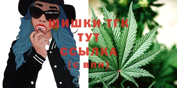 mdpv Вяземский