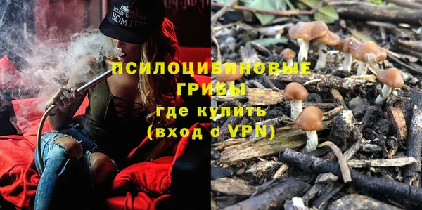mdpv Вяземский