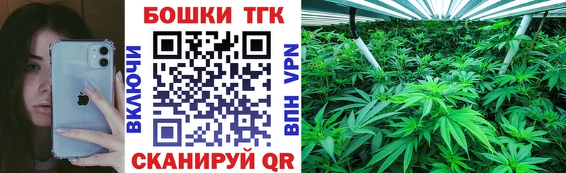 MEGA как зайти закладка Гусиноозёрск Шишки марихуана сатива